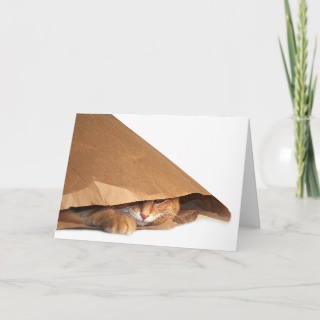 Cartão de gato de saco de papel castanho (Frente)