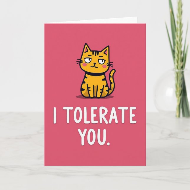 Cartão de Gato Engraçado que Eu Tolero (Frente)