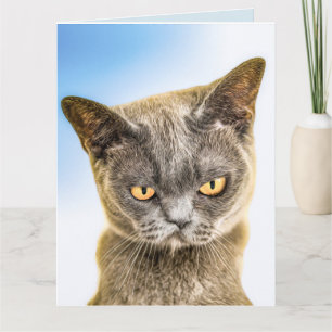 CARTÃO DE GATO FOFO TRISTE DE SAUDADE