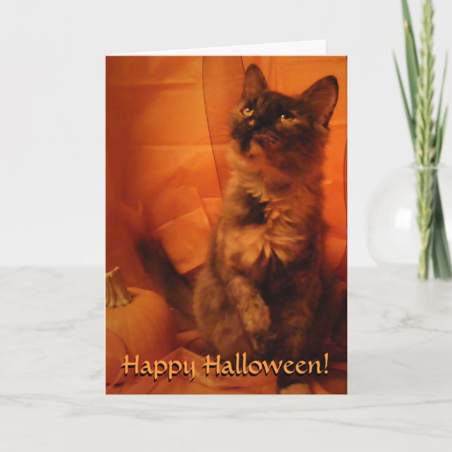 Cartão de Gato Halloween (Frente)