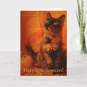 Cartão de Gato Halloween