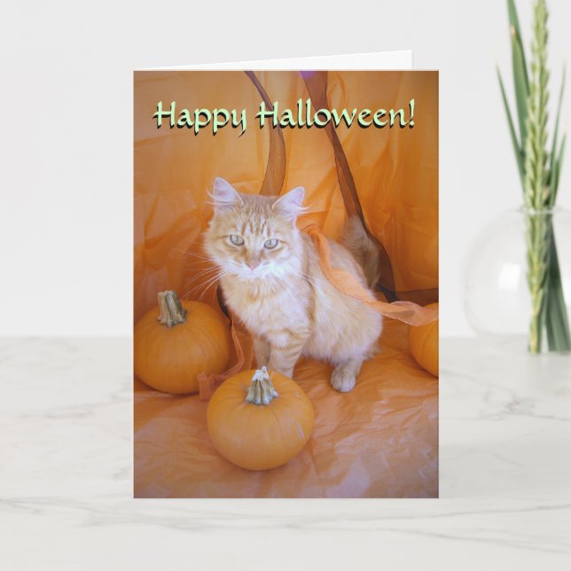 Cartão de Gato Halloween (Frente)