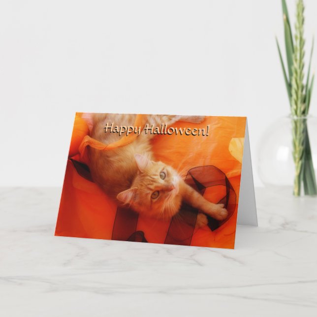 Cartão de Gato Halloween (Frente)