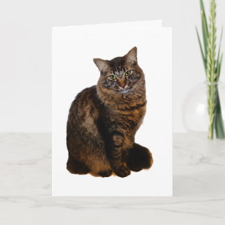 Cartão de Gato Listrado - Interior em Branco