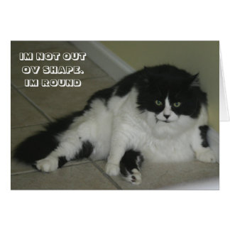 Cartão de gato LOL