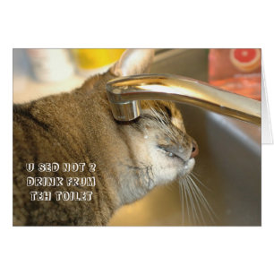 Cartão de gato LOL