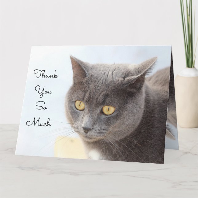 Cartão De Gato Muito Obrigado (Frente)
