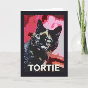 Cartão de gato TORTIE Tortoisesinfere