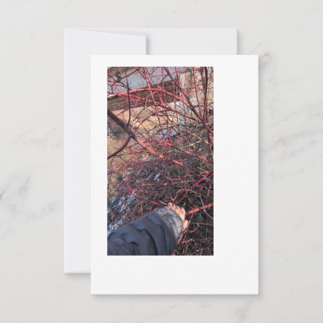 Cartão de Geocache de Troll (Frente)