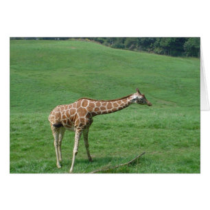 Cartão de Girafa!