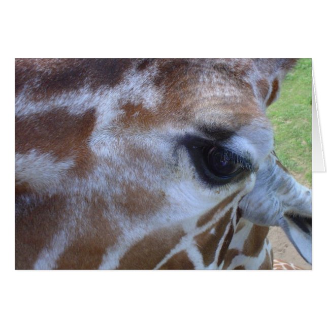 Cartão de Girafa! (Frente Horizontal)