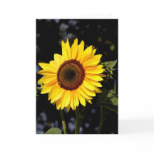 Cartão de girassol