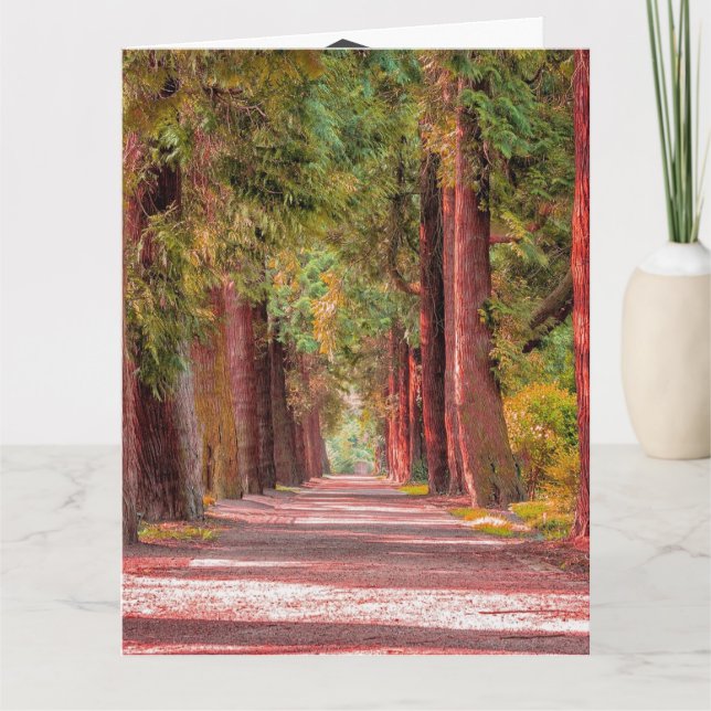 Cartão de Graduação (Frente)