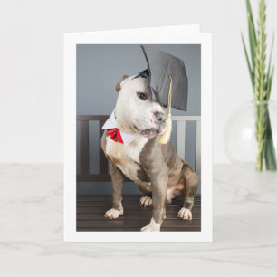 cartão de graduação