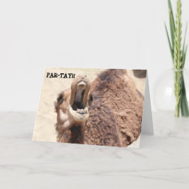 Cartão de Graduação Engraçado, Camel da Festa