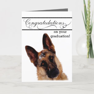 Cartão de Graduação Humoroso com German shepherd