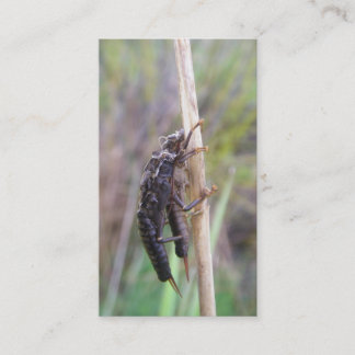 Cartão de guia da pesca com mosca