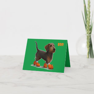 Cartão de Halloween Wirehair Dachshund