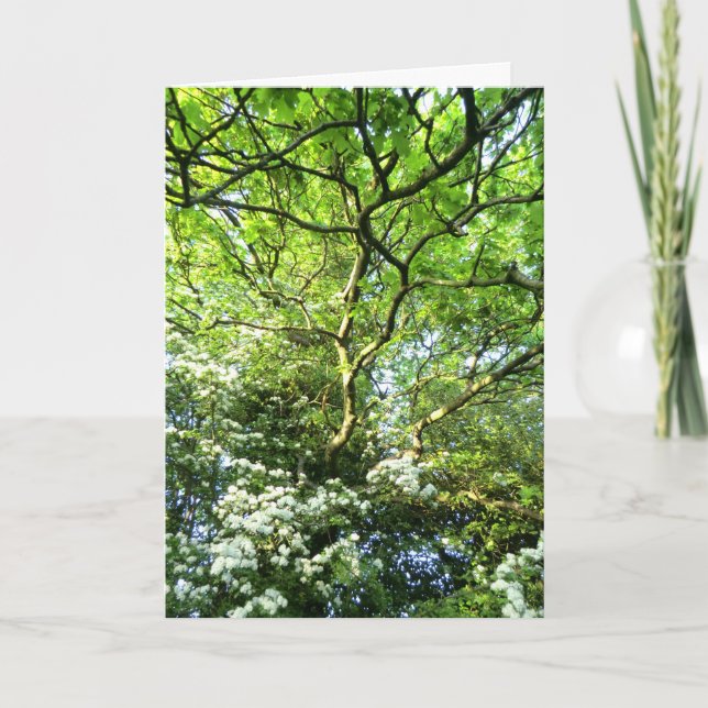 Cartão de Handfasting do Hawthorn e do carvalho (Frente)