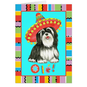 Cartão de Havanese da festa