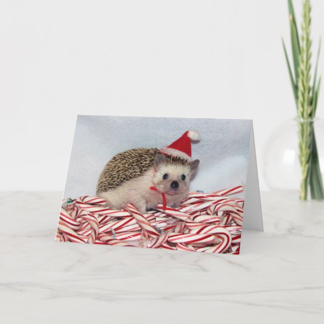 Cartão de Hedgie do Natal (Frente)