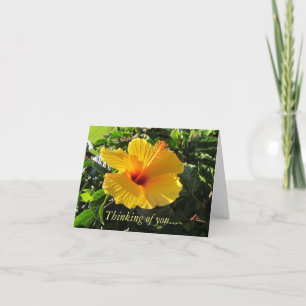 Cartão de Hibisco Tropical Amarelo Pensando em Voc