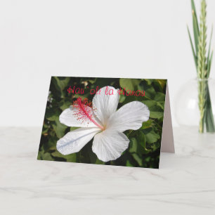 Cartão de Hibiscus Branco Feliz de Aniversário d