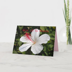 Cartão de Hibiscus Branco Feliz de Aniversário do