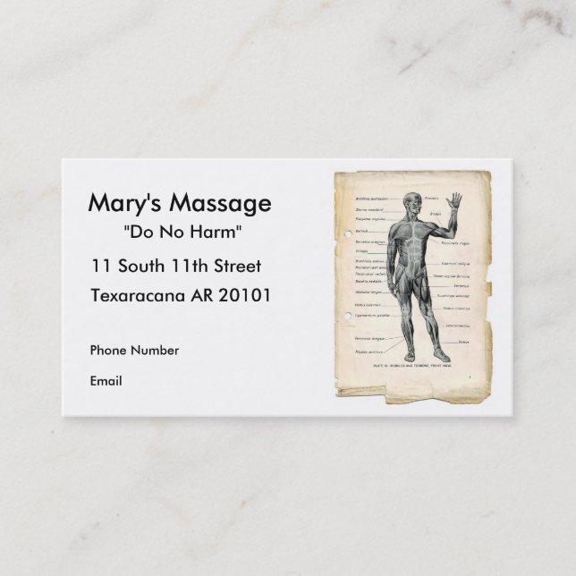 Cartão De Horário Anatomia anterior (Frente)