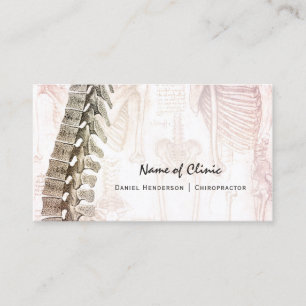 Cartão De Horário Lembrete da nomeação do Chiropractor da espinha 