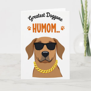 Cartão de Humor Canino de Bolinhas