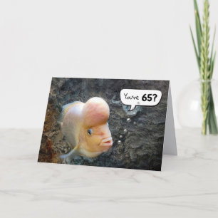 Cartão de Humor de Aniversário do 65º Peixe de 