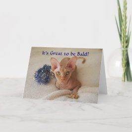Cartão de Humor Quimioterapia Gato Sphynx Sem Pelo