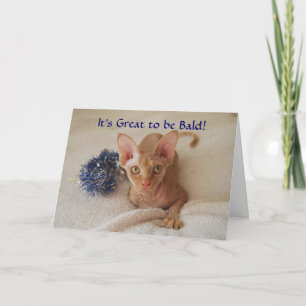 Cartão de Humor Quimioterapia Gato Sphynx Sem Pelo