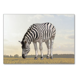 Cartão de identidade zebra ABA | Cartão de Imagem