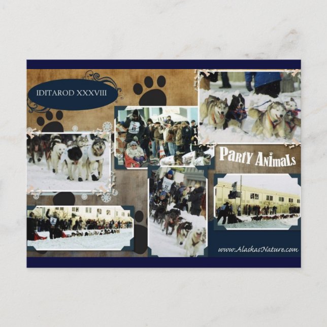 Cartão de Iditarod (Frente)