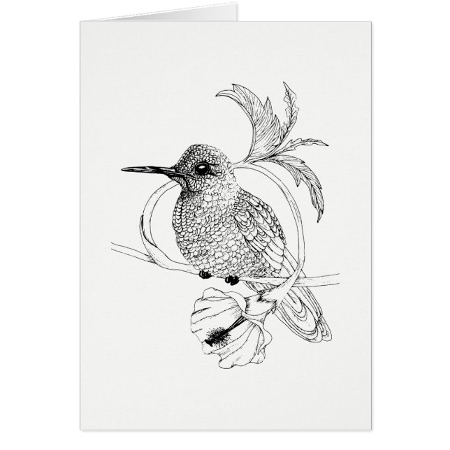 Cartão de Ilustração Colibri Bird (Frente)