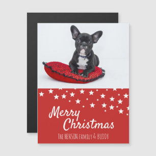 Cartão de Ímã de Natal com Foto de Cachorrinho Bul