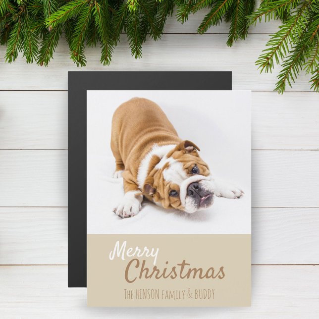 Cartão de Ímã de Natal com Foto de Filhote de Bull (Criador carregado)