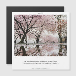 Cartão de imã SCRIPIX para as PROMESSAS de Jeremia