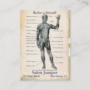 Cartão De Indicação Desenho Vintage de Anatomia Anterior