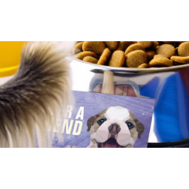 Cartão De Indicação Pet Care Sitting Bathing & Grooming Compra