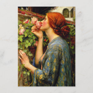 Cartão De Informações Alma da Rosa John William Waterhouse