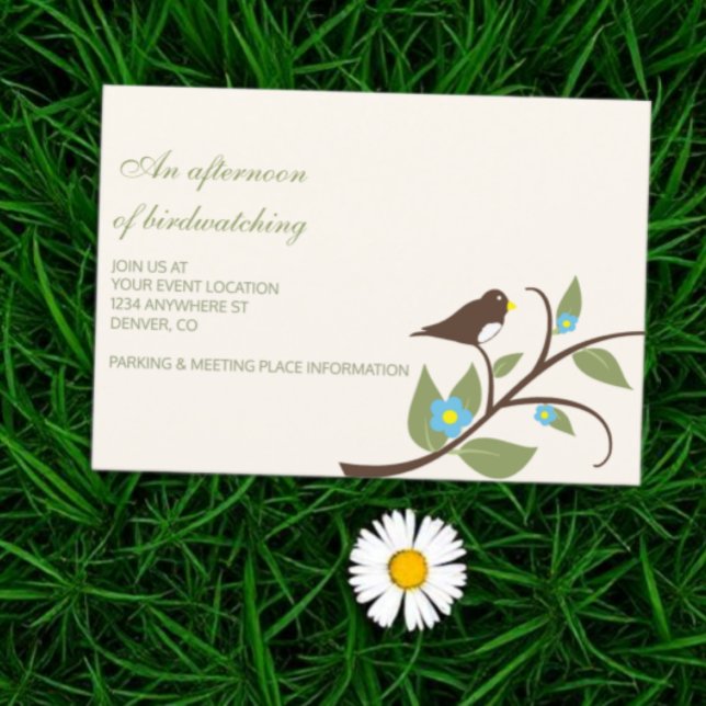 Cartão De Informações Bird Birthday Afternoon Of Birdwatching (Criador carregado)