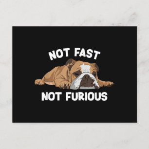 Cartão De Informações Bulldog Inglês Dormindo Não Rápido Não Furioso Eng