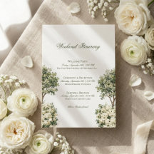 Casamento em Vinhedo com Aquarela de Rosa Branca