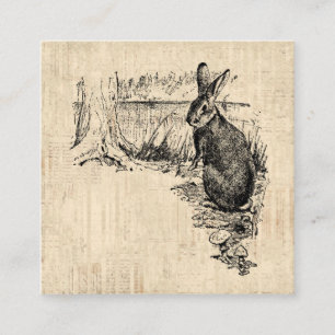 Cartão De Informações Coelho Vintage - Arte Coelhinha Ilustrada