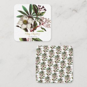 Cartão De Informações Elegante Vintage Rosa de Natal Botânico