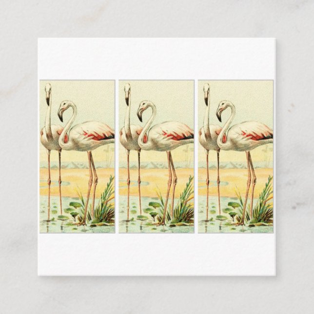 Cartão De Informações Flamingo Antigo (Frente)