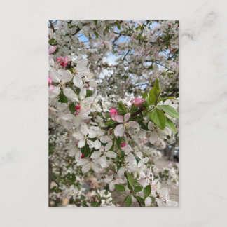 Cartão De Informações Flor de primavera